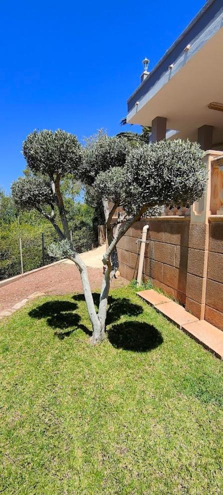 Villa Capllonch Banyalbufar Buitenkant foto